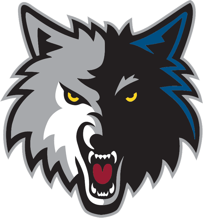 Minnesota Timberwolves 2008-2017 Alternate Logo fabric transfer